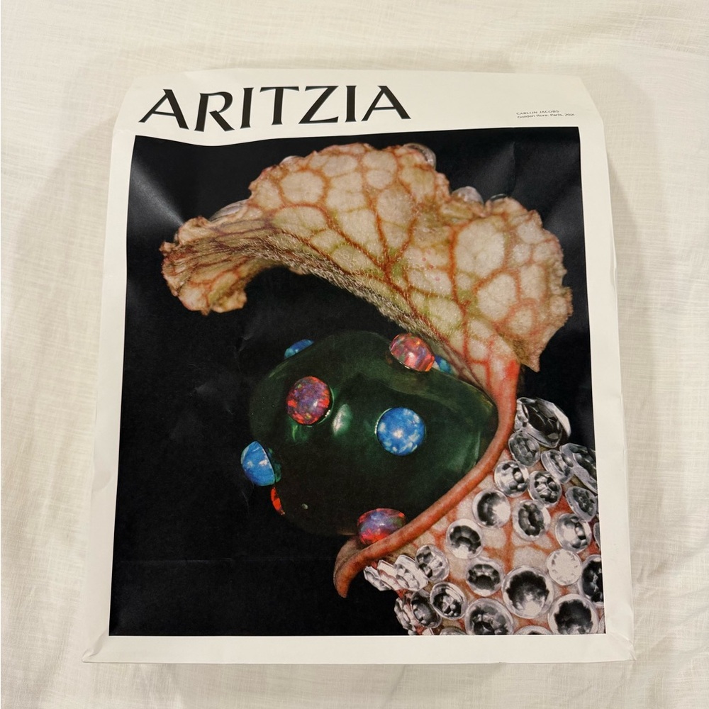 Aritzia extra large bag art